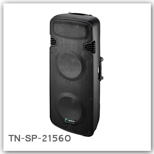 Passive Speaker Model TN-SP 21560 